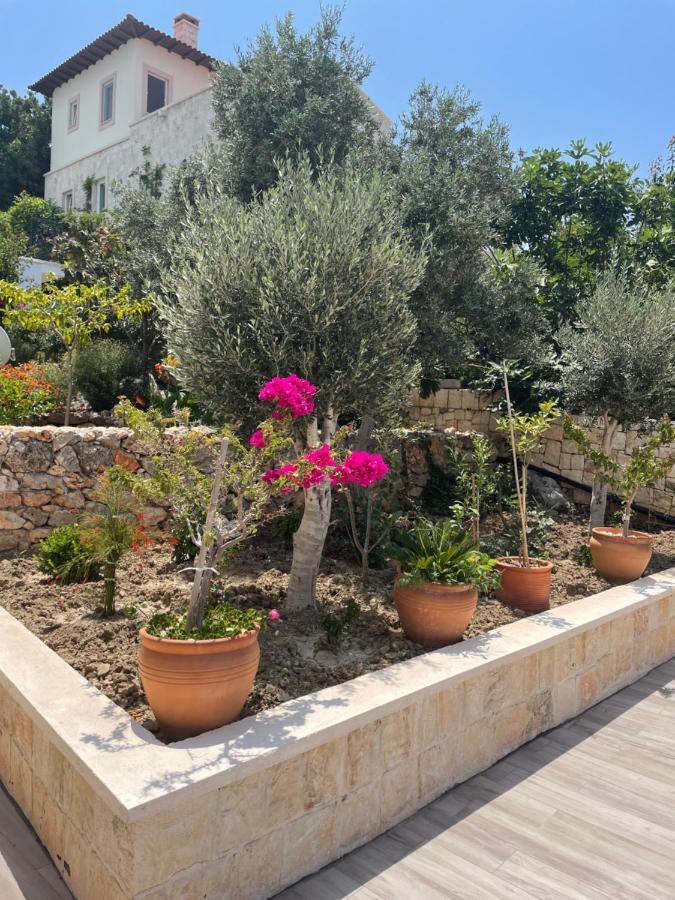 Villa Xanthos Kaş Buitenkant foto
